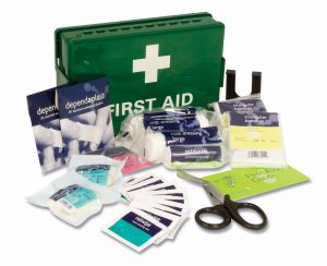 health kit travel advice