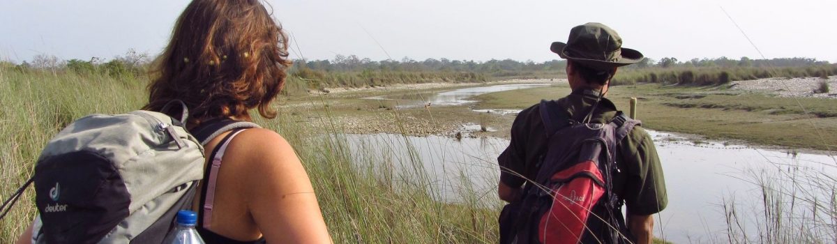 jungle walk Bardia National Park jungle walk Bardia National Park